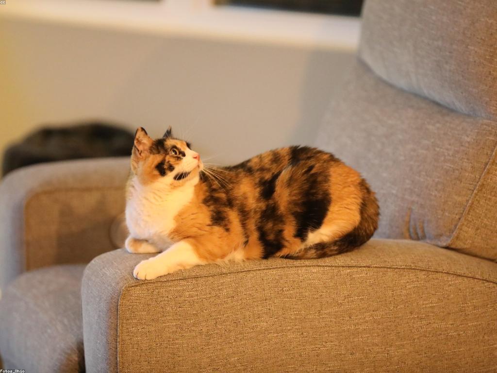 កន្សោមគន្លឹះសំរាប់ការនាំយ៉ាងមានប្រសិទ្ធភាព