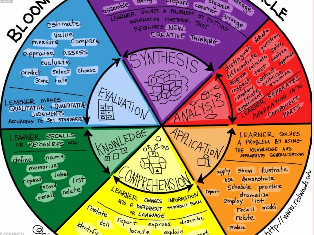 ការយល់ឃើញពីការពិន្ទុ និងចំណាត់ថ្នាក់